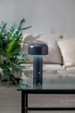 Star Trading Genopladelige Lamper-Bordlampe Bobby