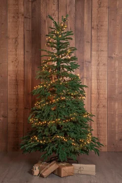 Star Trading Havepynt-Juletræ Edane 210 cm