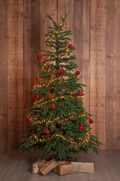 Star Trading Havepynt-Juletræ Edane 210 cm