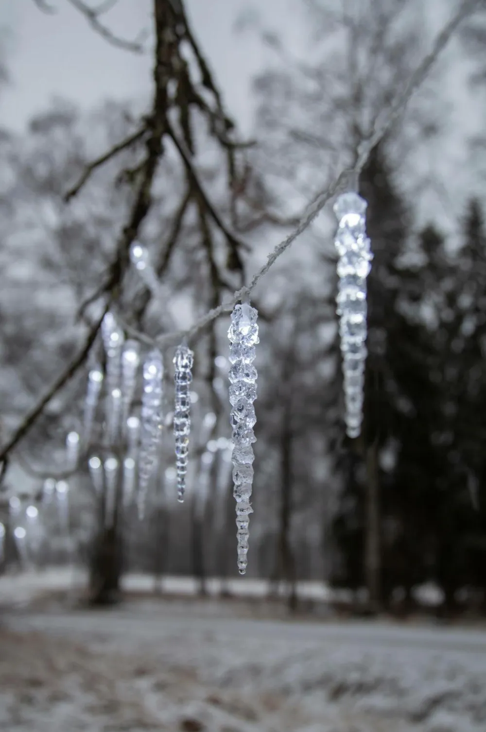 Star Trading Lyskæder-Lyskæde med istapper Gelido