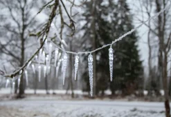 Star Trading Lyskæder-Lyskæde med istapper Gelido