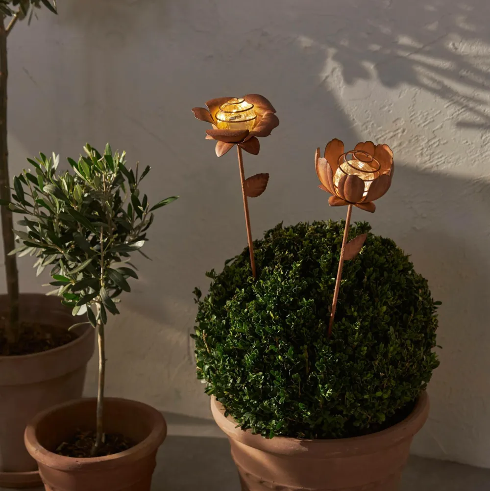 Star Trading Udendørsbelysning-Solcelledekoration Oxida Blomst 2-p