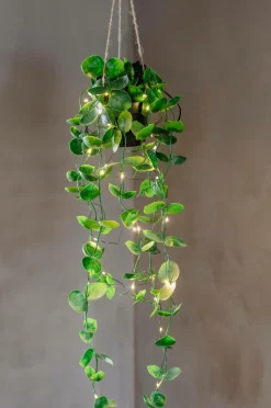 Star Trading Planter & Blomster-Træ Laos 35