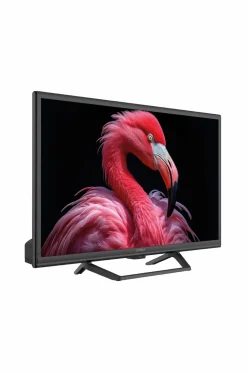 Strong Tv, Lyd & Det Smarte Hjem-Smart-tv 24 230/12volt Google TV Srt24hg4723c