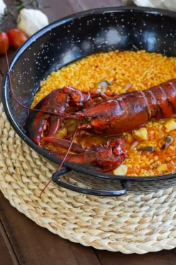 Vaello Pander & Gryder-Gryde 30 cm