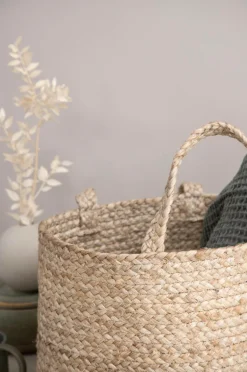 Venture Home Kurve-Kurv Bhopal