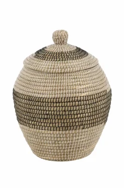 Venture Home Kurve-Kurv Chennai