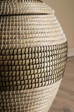 Venture Home Kurve-Kurv Chennai