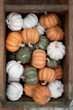 Wikholm Form Pynteting-Bland i boks Pumpa