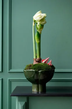 Wikholm Form Potteskjulere-Gryde Denise