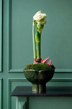 Wikholm Form Potteskjulere-Plantning Denise