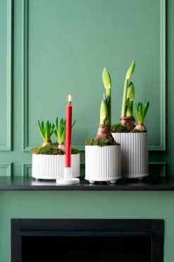 Wikholm Form Potteskjulere-Plantning Julianne