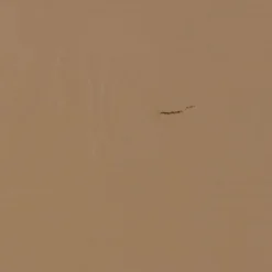 WOOOD Pynteting-Bogstativ Jet