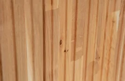 WOOOD Tv-Bænke-TV-bænk Gravure New 100 cm