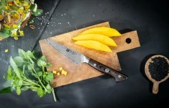 ZWILLING Køkkenknive & Knivtilbehør-Skalkniv Tanrei 10 cm