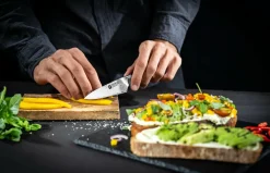 ZWILLING Køkkenknive & Knivtilbehør-Skalkniv Tanrei 10 cm