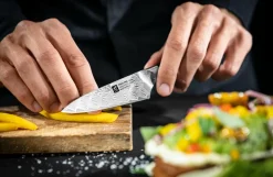 ZWILLING Køkkenknive & Knivtilbehør-Skalkniv Tanrei 10 cm