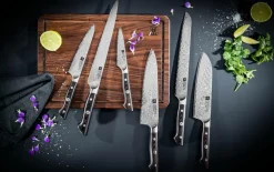 ZWILLING Køkkenknive & Knivtilbehør-Skalkniv Tanrei 10 cm