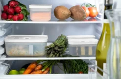 ZWILLING Køkkenopbevaring-Vakuumbox Fresh & Save M