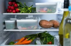 ZWILLING Køkkenopbevaring-Vakuumbox Fresh & Save frysbox