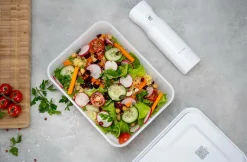 ZWILLING Køkkenopbevaring-Vakuumbox Fresh & Save frysbox